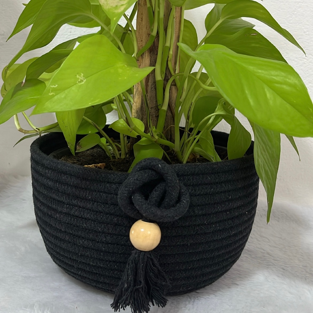 Cachepô de Corda de Algodão – Decoração Natural e Sustentável