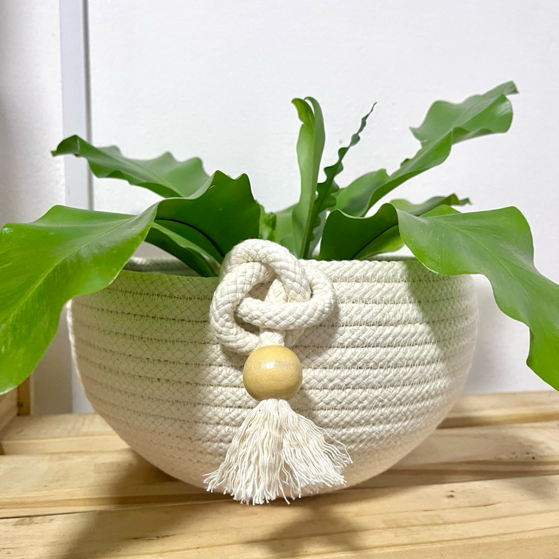 Cachepô de Corda de Algodão – Decoração Natural e Sustentável