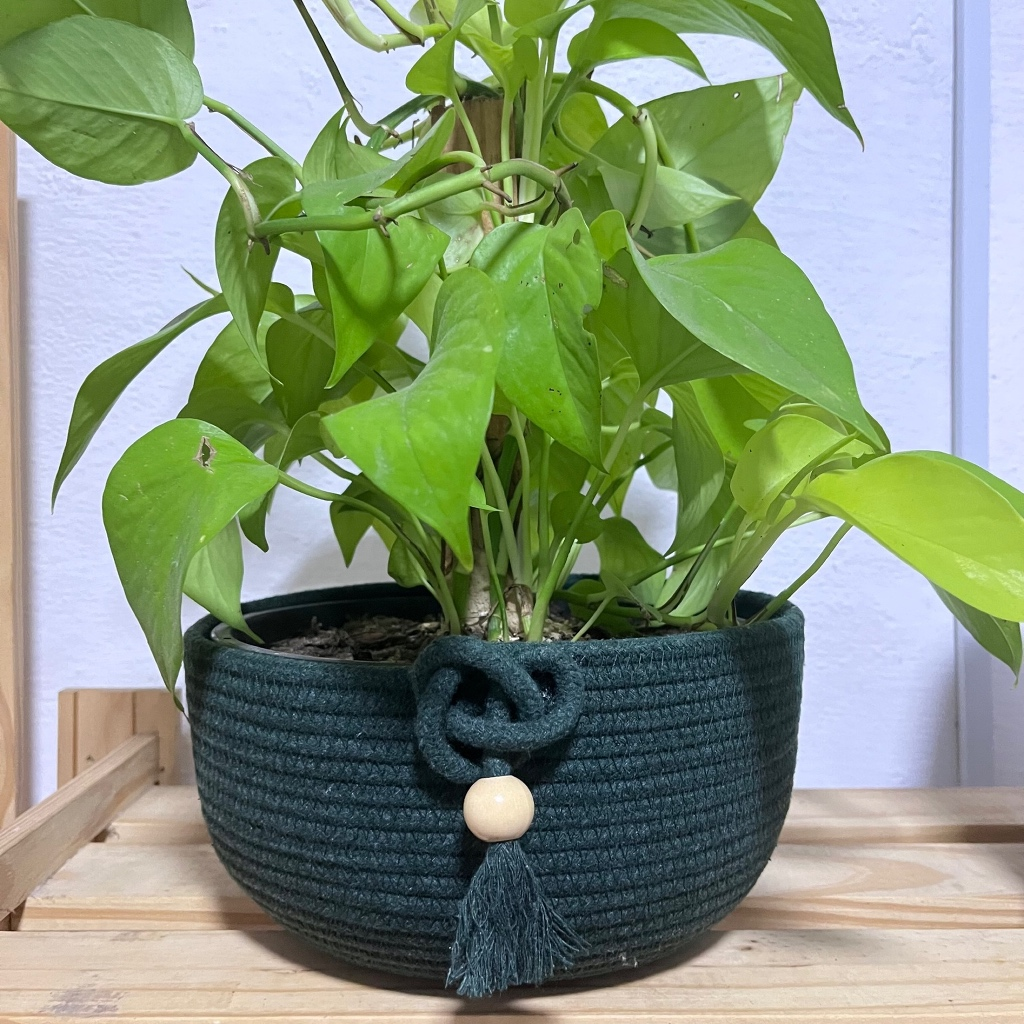 Cachepô de Corda de Algodão – Decoração Natural e Sustentável