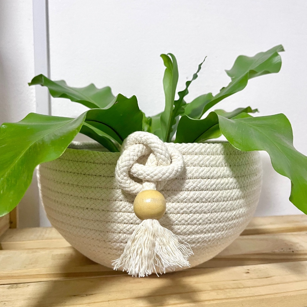 Cachepô de Corda de Algodão – Decoração Natural e Sustentável
