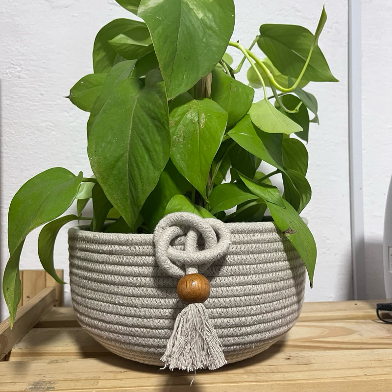 Cachepô de Corda de Algodão – Decoração Natural e Sustentável
