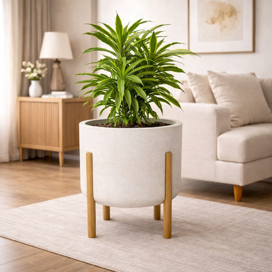 Vaso Decorativo com Pés de Madeira